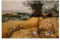YiQuSoft Pieter Bruegel The Elder The Harvesters (1565) Poster auf Leinwand und Wandkunst, Bilddruck, moderne Familienschlafzimmer-Dekoration, ungerahmt, 60 x 90 cm