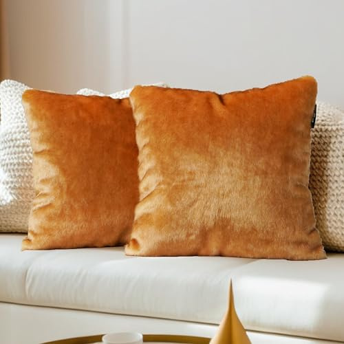 inchgrass Housses de Coussin Fourrure 45x45 cm - Lot de 2 Housses de Coussin de Canapé & Lit Luxe et Ultra Douces, Housses Décoratives pour Salon A66