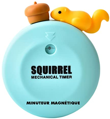 Minuteur analogique visuel 60 Minutes Compte à rebours Silencieux, Outil de Gestion du Temps pour Enfants et Adultes L:6.8CM/H:8.3CM (10)