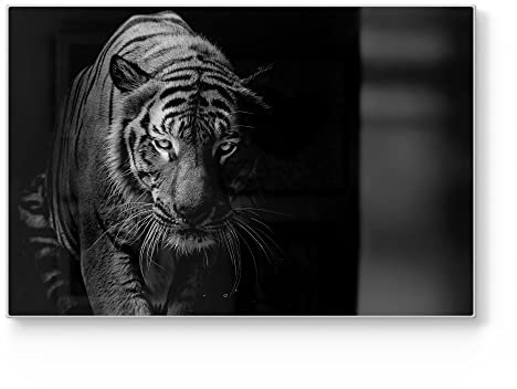 DEQORI Schneidebrett aus Glas | groß 30x20 cm | Motiv Tiger auf der Pirsch | Design Schneideplatte für Küche | Frühstücksbrett antibakteriell & rutschfest | Glasplatte & Servierplatte