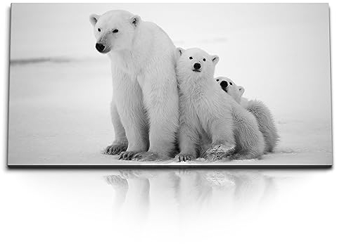 Paul Sinus Kunstdruck Bilder 120x60cm Eisbären Eisbärenfamilie Nordpol Tierfotografie Schwarz Weiß