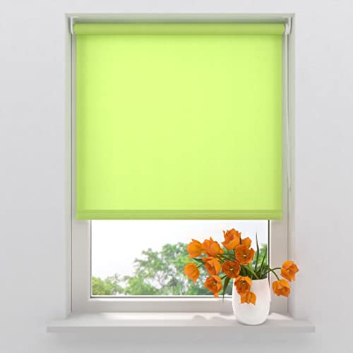 Rollo Easy Mini - Lichtdurchlässig - Grün - 100 x 150