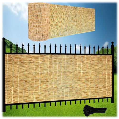 Sichtschutzmatte Sichtschutz Balkon Schilfrohrmatte Bambus-Zaun Roll Natürlicher 50 60 70 80 100 120 140 160cm Hoch Bambusmatte Dekorative Haus Sichtschutzzaun Garten-Schattenspender(Natürliche weiße