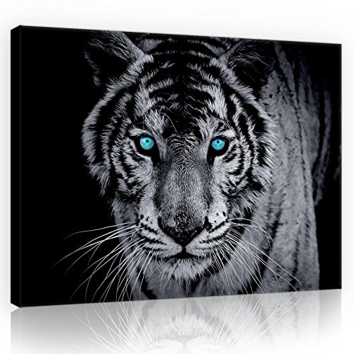 WallArena Leinwandbild Tiger Tiere Schwarz Blau 60x40 cm | für Wohnzimmer, Modern Bilder Groß XXL Wandbild Kunstdruck Wandbilder Canvas Desing Wand Bild auf Leinwand Aufhängefertig
