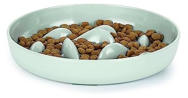IDOGCHEW Gamelle Anti Glouton Chat, Assiette Régime Anti Vomissement pour Chat Glouton, Bol Plat Chaton avec Base Antidérapante pour Manger Lentement(Vert-Poisson, Rond)