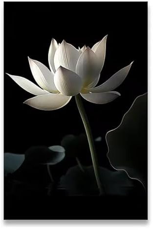 JIANGSHANDAIYOUCAIREN Vintage White Lotus Wall Art Poster Wohnzimmer Schlafzimmer Dekoration Malerei Kein Rahmen-A_30x40cm