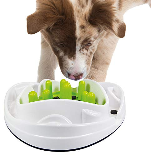 ALL FOR PAWS Interaktives Futternapf für Hunde und Welpen, mit Labyrinth-Puzzle, Spielzeug – Anti-Schlupf verlangsamt das Essen