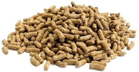 3 Litre Refill Bag Natural Pond Sticks Premium Quality Complete Food 3l (approx weight 900g) 3LW