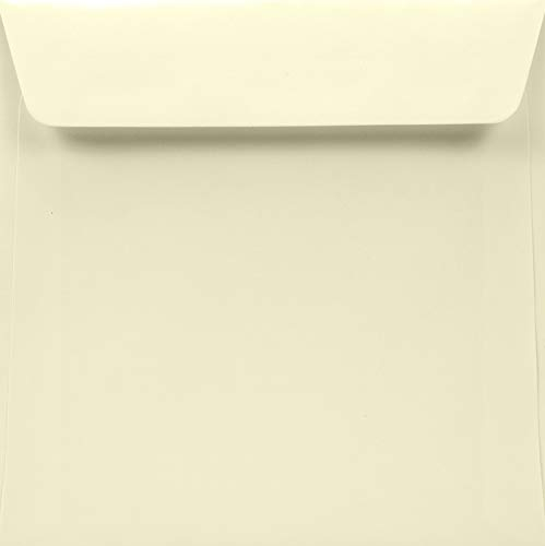 Netuno 50 quadratische Briefumschläge Elfenbein 17 x 17 cm 120g Lessebo Smooth Ivory Umschläge quadratisch ohne Fenster für Einladungskarten Geburtstagskarten Glückwunschkarten Weihnachtskarten