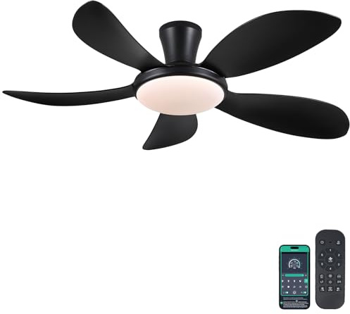 PHORUS 48Black Low Profile Flush Mount Ceiling Fans with Lights and Remote