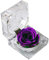 Gadpiparty Rosa Conservata In Una Scatola Fiore Eterno Rosa Regali In Cupola Di Con Nastro Rosa Conservata Per Anniversario Compleanno San Matrimonio Bomboniere (Viola)