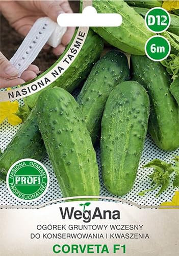 WegAna 6m Saatband Freilandgurke Samen Corveta F1 Gurke, Robuste Gemüsesamen, Gemüse Samen Anzucht, Saatgut für Gewächshaus