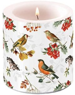 Ambiente Kerze Stumpenkerze Wachswindlicht 9 cm hoch Brenndauer ca 35h Vögel und Beeren Dekorationskerze Serie autumn birds