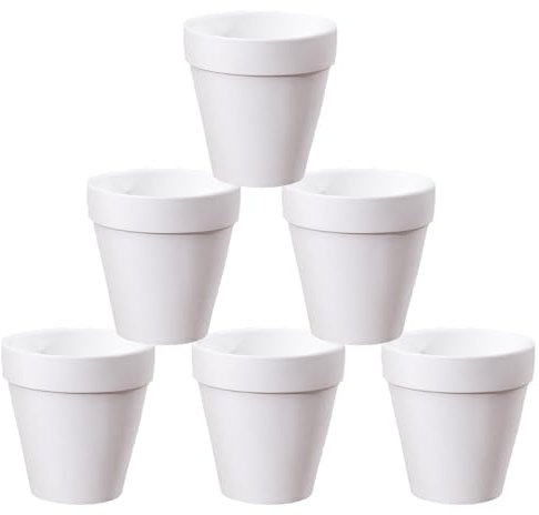 Molyorch Vaso in terracotta, 6 pezzi, per cactus, fiori, piante grasse, ideali per giardinaggio, fai da te o regali di nozze (9 x 9 cm, bianco)