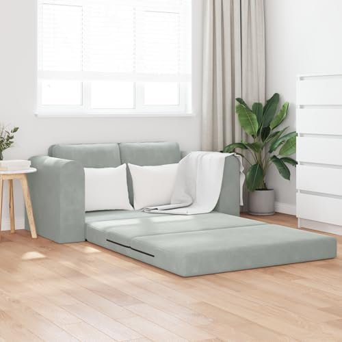Qnhdfrt Velvet Floor Sofa Bed, 2-in-1 Light Gray Loveseat