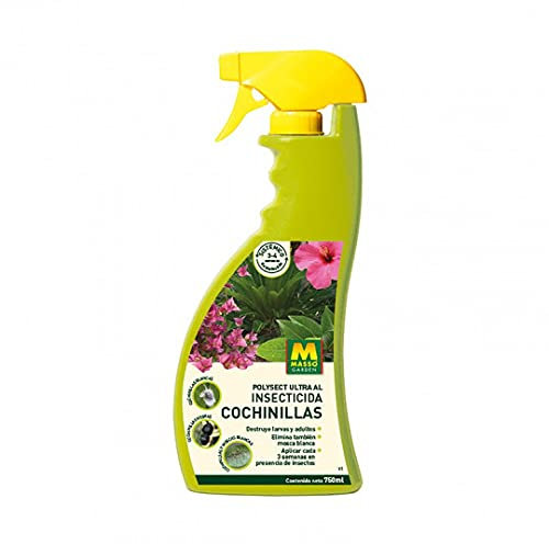 MASSO INSECTICIDA LISTO USO COCHINILLAS 750ML