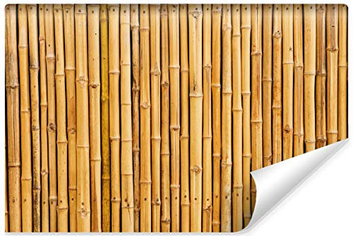Muralo Selbstklebende Fototapete 180 x 120 Natur Bambus Tropen Tapete Exotik Flora Sprossen Blätter Wohnzimmer Schlafzimmer Wandbilder XXL Wand Br. 180 cm x Hö. 120 cm
