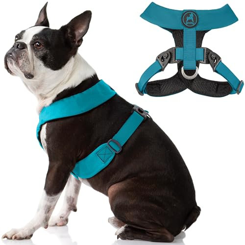 Gooby Hundegeschirr – Türkis, X-Large Comfort X Geschirr Dual Snap Drehschnallen mit patentiertem Würgefreien Rahmen Perfekt für unterwegs, No Pull kleine Hunde drinnen und draußen