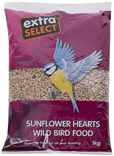 Extra Select Sunflower Hearts Bird Food - Husk-Free, Oil Rich, High Energy Wild Bird Seed for Year Round Feeding - 1 kg