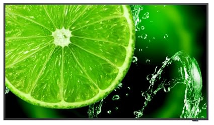 NEC MultiSync E658 165,10cm 65Zoll E Series Large Format Display UHD 350cd m2 Direct LED Backlight 16 7 Proof Media Player Schwarz