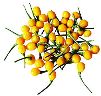 1000 Semillas Aji Charapita -Chile- by Samenchilishop