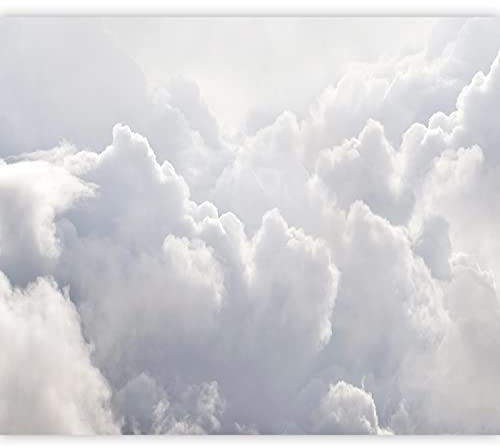 murando Fototapete selbstklebend Himmel 441x315cm Foto Tapete Tapetenfolie Möbelfolie Wandverkleidung Wandtapete Motivtapeten Bildtapete Schlafzimmer 3d Effekt Wolken Natur blau weiß n-C-0353-a-a