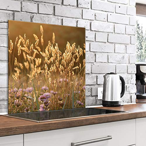 murando Glass Splashback for Kitchen Backsplash Cooker Protector Tempered Glass Decorative Wall Art Panel Heat Resistant Graphic 60x60 cm / 24x24 Nature Field Flowers Grass b-B-0459-aq-a