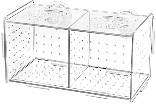 Fischzuchtbox - Brutisolationsbox Acryl-Brutkästen Aquariumhalter Aquarium Inkubator für Babyfische Garnelen Clownfisch Und Guppy