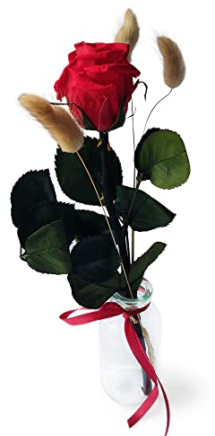 Konservierte Rose mit Vase - Echte ewige Rose mind. 3 Jahre haltbar – kurze Rose mit Stiel Höhe 26 cm - stilvolle Dekoration mit Infinity Rose - Geschenk für jeden Anlass - Made in Germany (Rot)