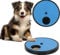 AVA OBED Dog Nail Scratch Board/Dog Scratch pad for Nails/Scratch Board for Dogs with Treats/File for Dogs/Dog Nail File Toy/Dog Nail File Board.