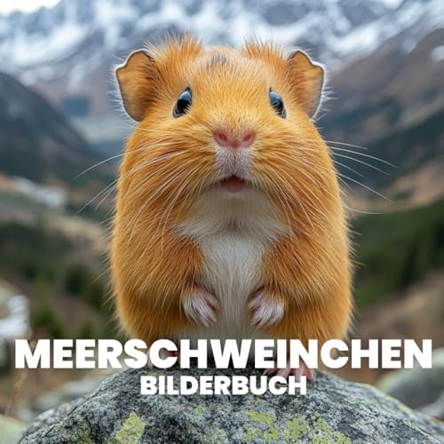 Meerschweinchen Bilderbuch