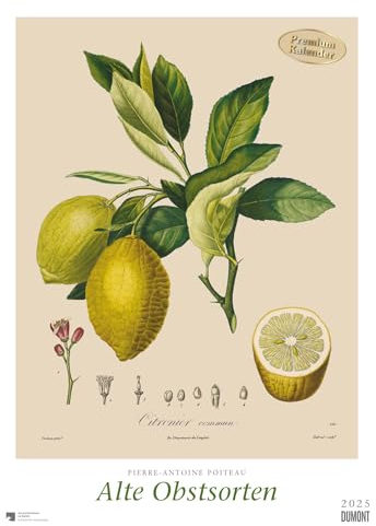 DUMONT - Poiteau: Alte Obstsorten 2025 Wandkalender, 50x70cm, Posterkalender mit Abbildungen von alten Obstsorten, aus der Rara-Sammlung der Staatsbibliothek zu Berlin