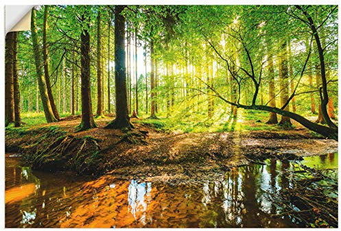 ARTland Wanddeko Wandtattoo selbstklebende Vinylfolie 120x80 cm Wald Natur Landschaft Bäume Bach Sonne Frühling T9IO