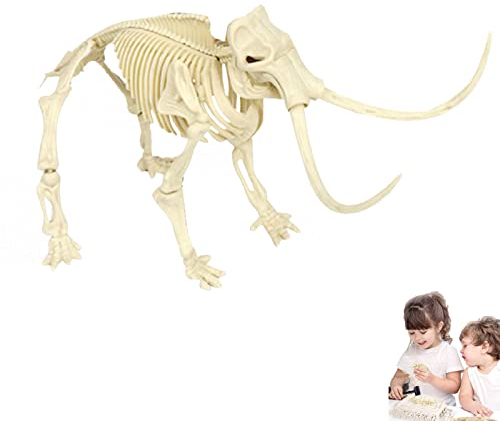 Anloximt Dinosaurier-Fossil-Kit | Langlebiges Dino-Skelett-Fossilien-Ausgrabungsset,Pädagogisches Geschenk für Science Dino Sand Dig Favor Decor