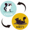 Ninnyi Clean Dirty Dishwasher Magnet, Circular Double Sided Sign for Kitchen Finishing
