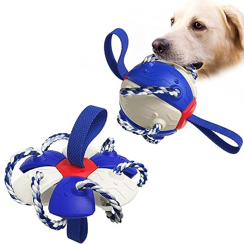 YKKJ Balle Chien, Soucoupe Volante pour Animaux de Compagnie, Entraînement du Chien, Lancer, Attraper et Jouer