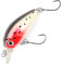 Major Fish Forellen Barsch Wobbler Lil Bill Crankbait 38 mm Special Trout