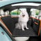 Pecute Housse Siège Voiture pour Chien avec Fond Rigide, Extension de Siège Arrière Antidérapante pour Voiture, SUV, Camion, Ceinture de Sécurité pour Chien, Jusqu'à 180 kg