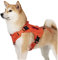 OneTigris Upgraded Fire Watcher 2.0 mit Strapazierfähiger Metallschnalle, Taktische Hundegeschirr mit Griff, No Pull Geschirr Grosse Hunde mit MOLLE-Klettsystem - Orange M