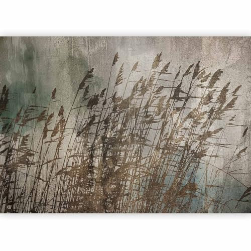 murando Fotomurales Autoadhesivo Selva 343x256 cm Papel Pintado Decoración de Pared Murales Pegatina decorativos adhesivos 3d Fotográfico Naturaleza Botanical Plantas Palmas b-C-0852-a-a