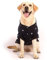 SMALLLEE_LUCKY_STORE - Maglioni in pile con stampa a stella, per cani di taglia media, grande, ragazzo, ragazza, girocollo, morbido e caldo, cappotto invernale per cuccioli, labrador, taglia 5XL blu