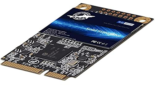 Dogfish SSD mSATA 120GB Unit?a Stato Solido Integrata Interno MLC Desktop Laptop Hard Drive Disk Includes 16GB 32GB 60GB 64GB 120GB 128GB 240GB 480GB 500GB (120G B, MSATA)