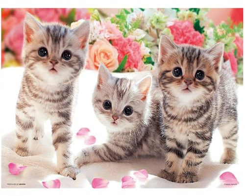 Square drills DIY 5D Diamond Painting animaux chats 50x40cm peinture numero enfant point de croix diamant painting images grand tableau à paillettes à faire soi-même broderie diamant pour adultes
