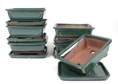 PLANETA HUERTO | Tiesto Bonsái Rectangular 20 cm con Plato Verde – Maceta de Diseño Atractivo y Resistente para Bonsáis
