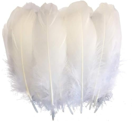 500 StüCk Weiße Federn, Federn Weiss, Federn, Federn Zum Basteln, Ideal Als Dekoration Zum Karnival für Halloween Fest Masken, FüR Traumfänger Basteln, Hochzeiten Und Bastelprojekte
