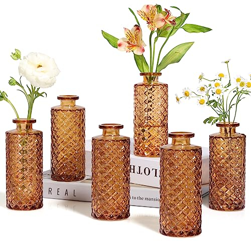 ComSaf Glasvasen,6 Stück Vasen Klein Set, Blumenvase, Vintage Vase Glas, Mini Vasen für Esstisch, Hochzeit, Tischdeko, Braun