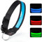 TENXSNUG Leuchthalsband Hund USB Aufladbar, Einstellbares LED Hundehalsband Leuchtend mit 3 Leuchtmodi für Kleine, Mittlere und Große Hunde, die Nachts Sicher Spazieren Gehen - Blau - M