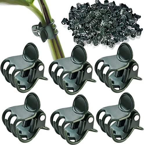 AccEncyc 100 Stück Pflanzenclips Orchideen-Clips Pflanzen Orchideen-Stützclips Blumenranken-Clips zur Unterstützung von Stielen Reben Stielen Kletterpflanzen wachsen aufrecht