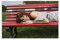 EFEZAC Isabelle Geffroy Zaz Poster 11 Leinwand Poster Schlafzimmer Dekor Sport Landschaft Büro Zimmer Dekor Geschenk Rahmen Stil 30 x 45 cm