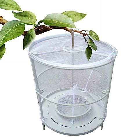 NOALED Outdoor-Fliegenfallen, Faltbarer, aufgehängter Fliegenfänger für Garten, Ranch, Obstgarten – Faltbare Weide-Fliegenfalle, Bienen (1 Stück)